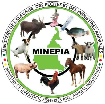Logo MINEPIA